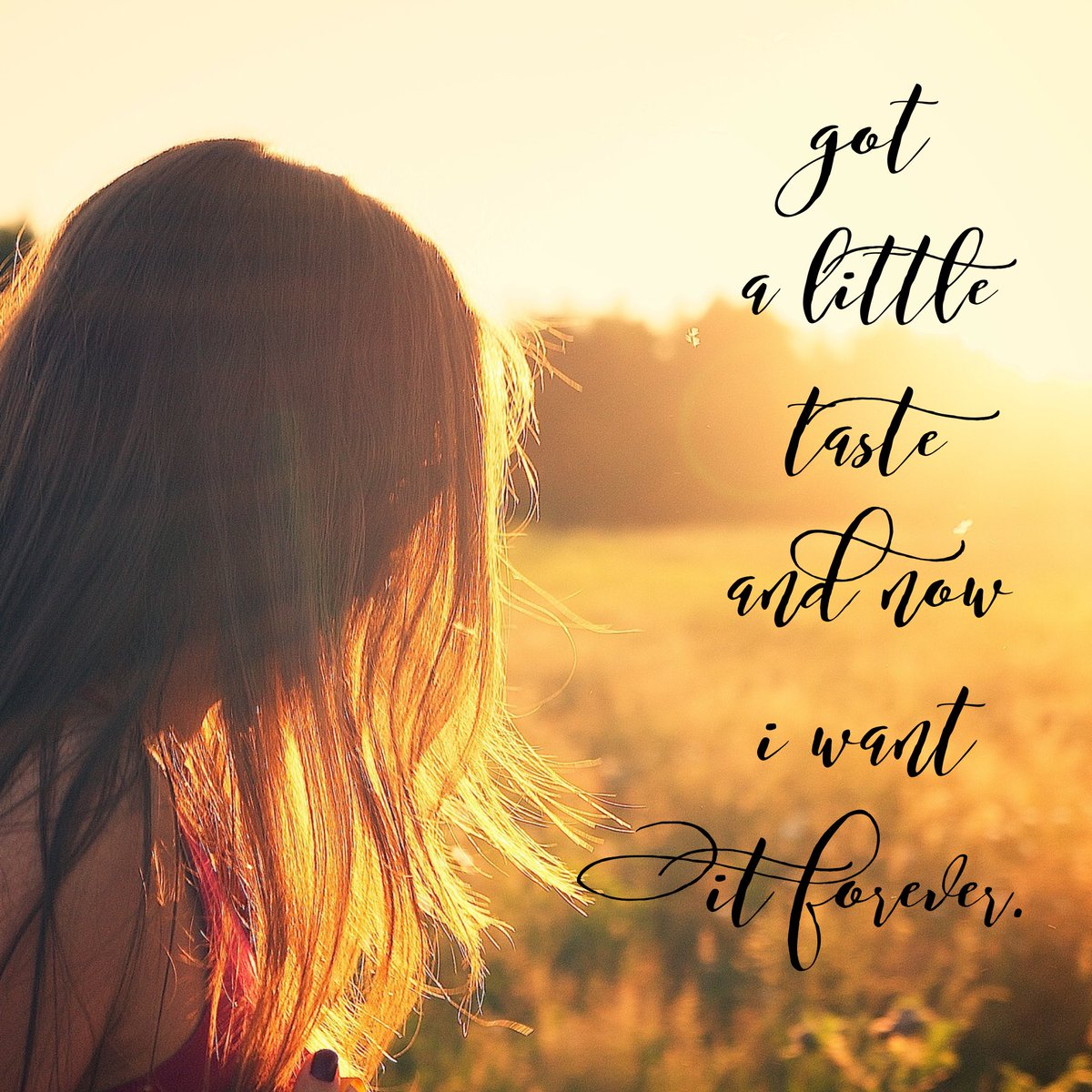Amy Wolf (@_Amy_Wolf) | Twitter