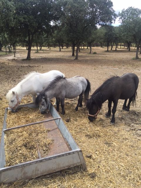 Os deseamos un feliz fin de semana a todos.