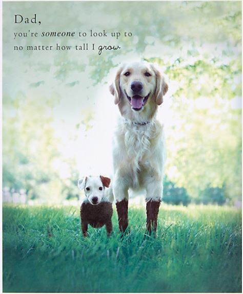 ClKMlRsWEAADVH4.jpg:large