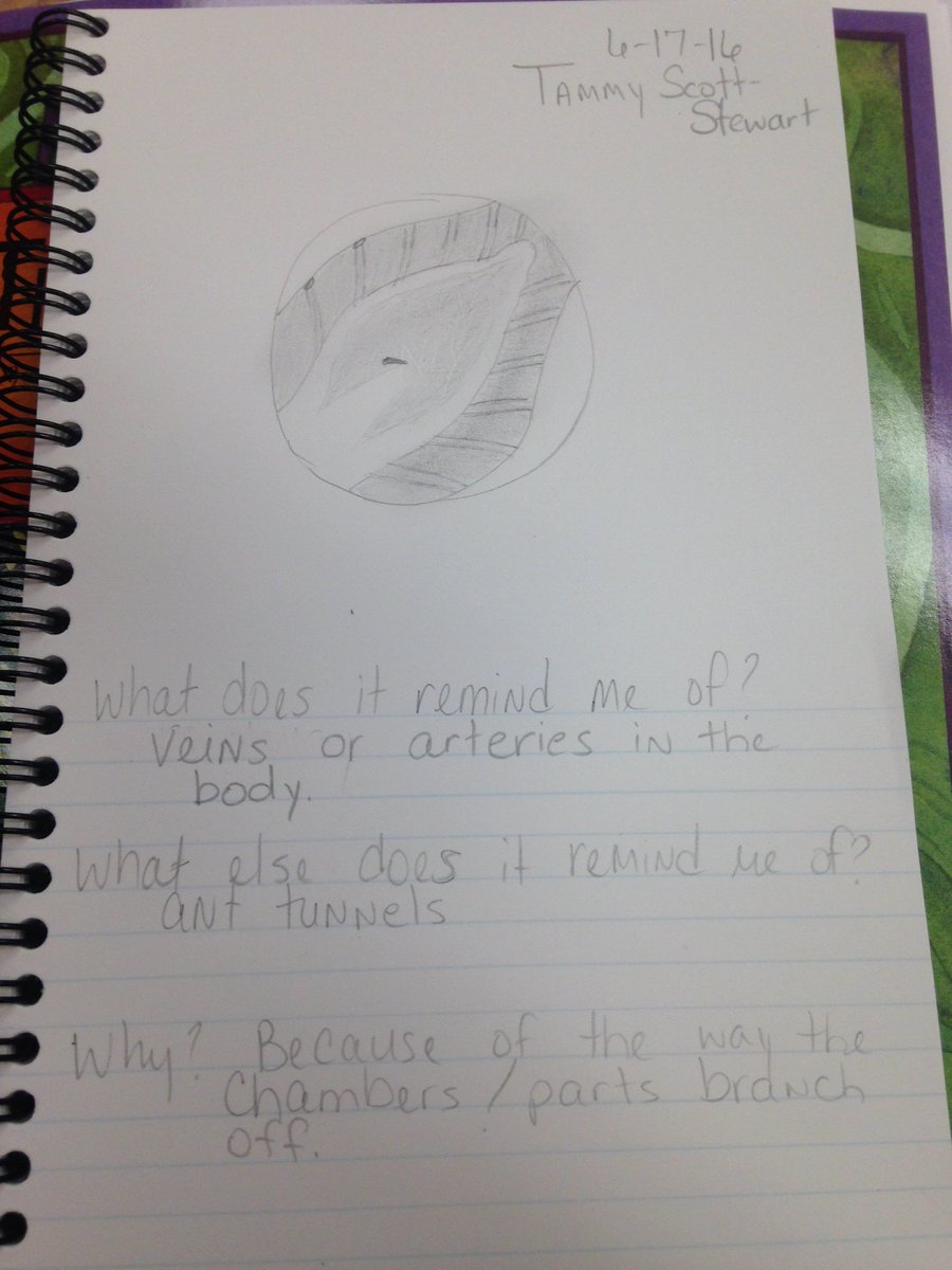 baileyminnie11's tweet photo. @STEAMky #kySTEAM16  Tammy Stewart Loupe drawing/analogy https://t.co/m57Tu6vJnE
