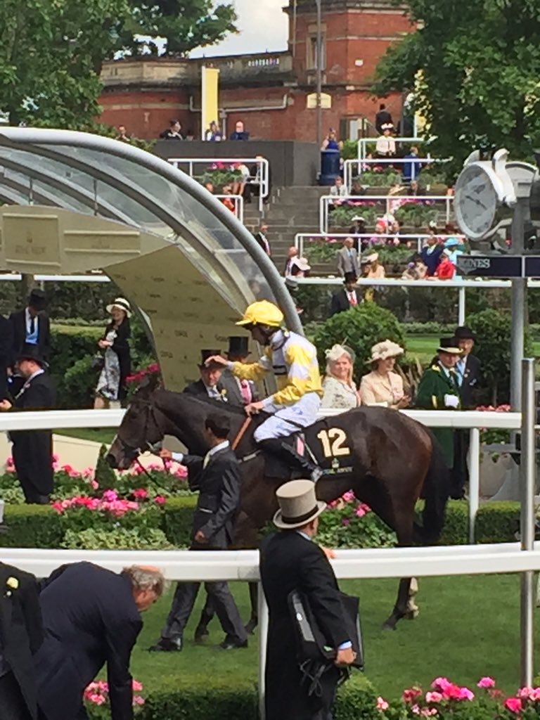 RacingPost's tweet photo. Quiet Reflection is a very popular Commonwealth Cup winner #RoyalAscot #RPSocial https://t.co/Q4EstZk94x