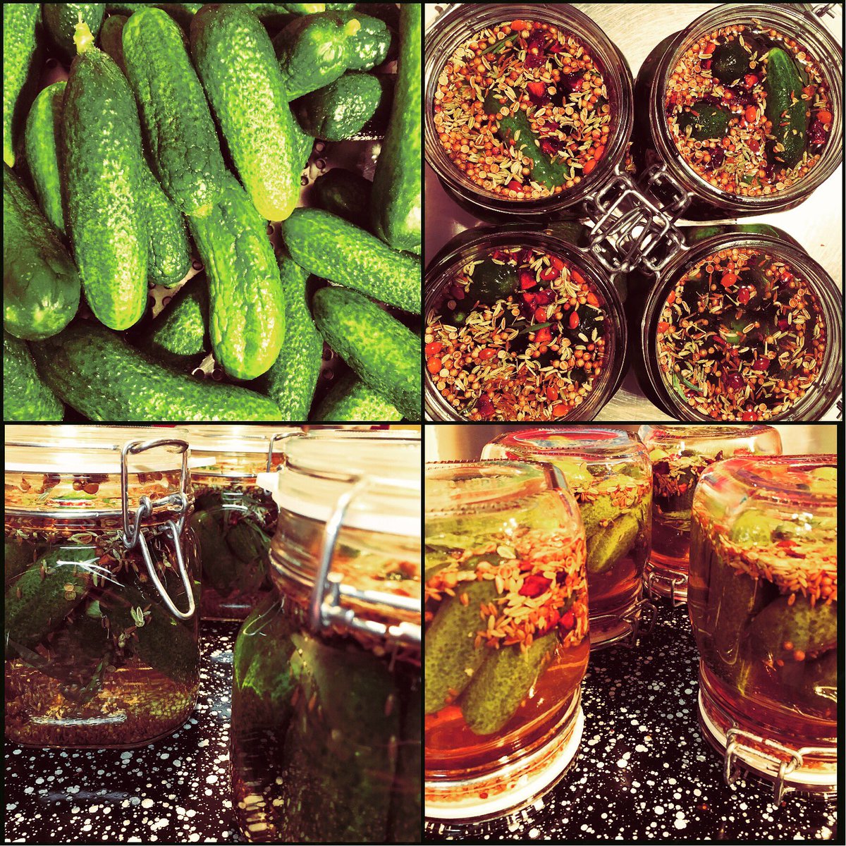 Wecken van augurken!! Top !!!