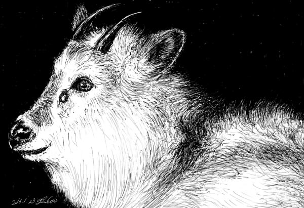 カモシカのtwitterイラスト検索結果 古い順