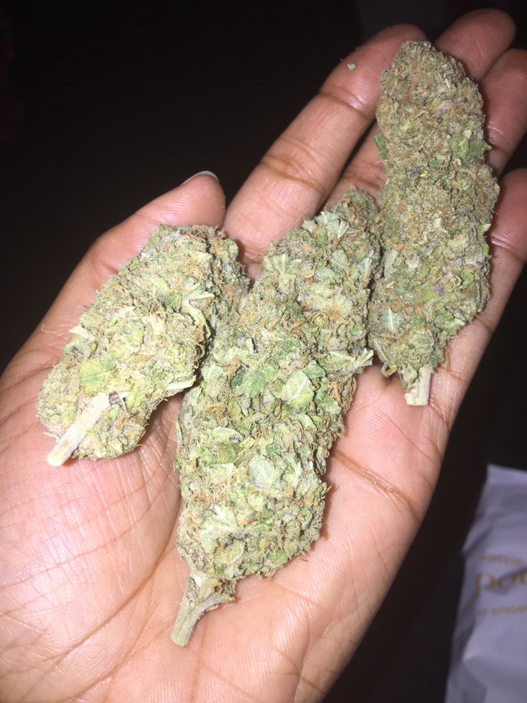 QueenOfGreenDC's tweet photo. #Breffast Of Champions #PurpleKush #DC #Cannabis https://t.co/sKQJwk2MQt