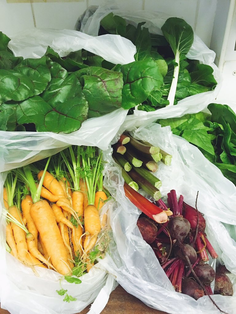 LaCoteWexford's tweet photo. Fruit &amp; Veg as fresh as it gets from Morrisons https://t.co/jyNlSweq49 in Ferns #WexfordRoots We love #local https://t.co/GZIgLkDJFr