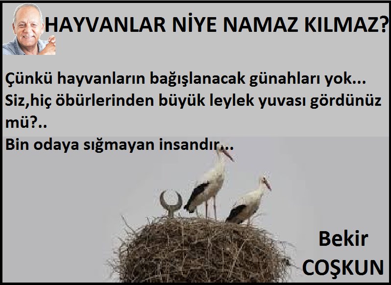cosknbekr2's tweet photo. https://t.co/ypKVl6o5gj https://t.co/1dwWH2EmqE