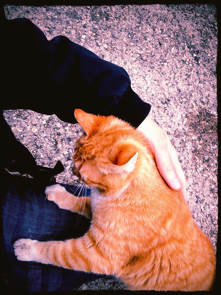 Los que son sin querer serlo... #UnAplausoPara