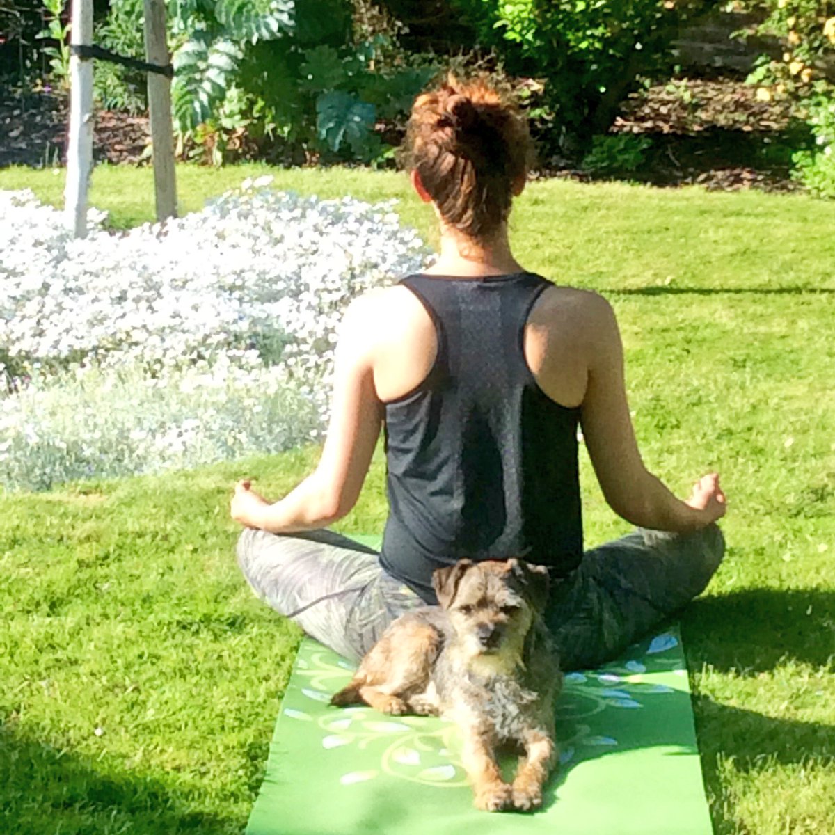 LittleGregor_BT's tweet photo. Following yesterday's 'incident' The Woman now insists I engage with the Health &amp; Wellbeing Agenda. #yogaforborders https://t.co/NQN1qbuMpH