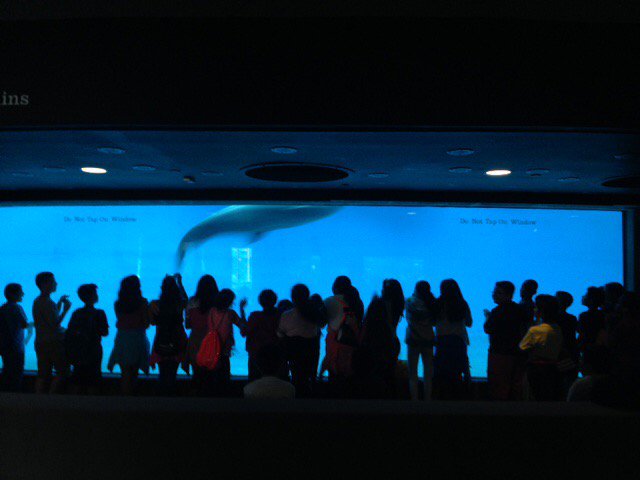 Annandale Terrace Elementary School tweet media