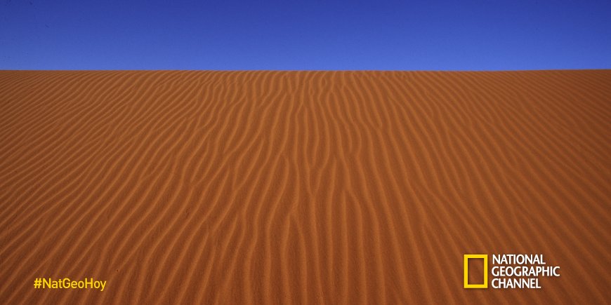 NatGeo_la tweet picture