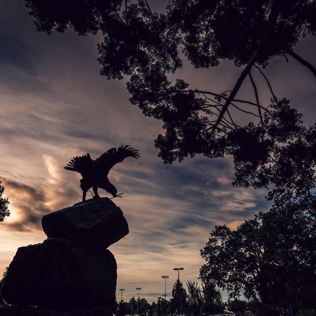 willamette_u's tweet image. Hatfield fountain at sunrise. #willamette_u #summer #sunrise #dawn ift.tt/1S9kxtg