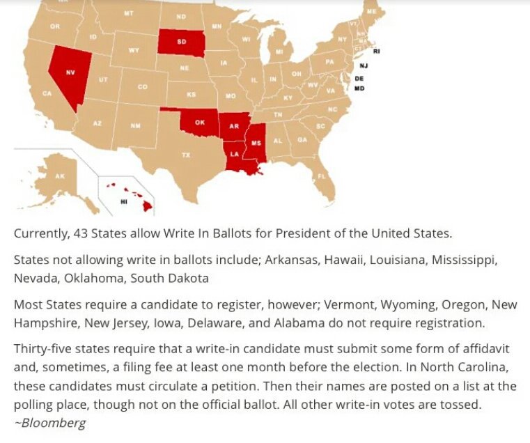 Spinn360's tweet image. RT Hillary4Prison0: RT SuckMyLEFTJuan: We will not vote for corruption #NEVERHillary means Never. And …   #WriteInS…