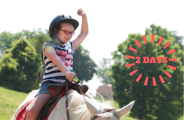 HeartlandCenter's tweet photo. Yee haw! Only 2 more days until overnight campers arrive! #CourageousFaith #SummerAtHeartland https://t.co/bF8VVnsyk0