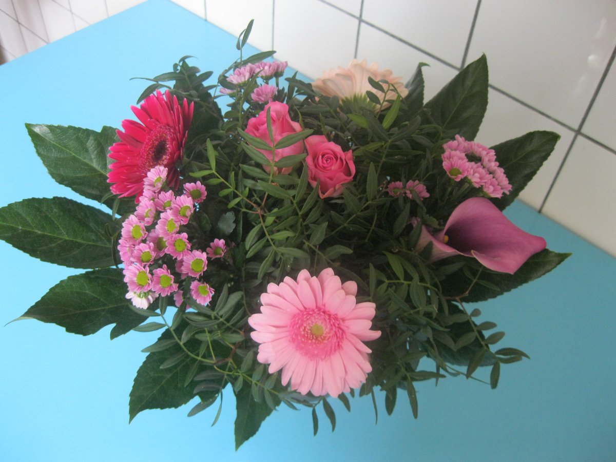 BijlesvanLinde's tweet photo. Anna is #geslaagd met een 7,2 voor wiskunde! Wow, gefeliciteerd! Bos bloemen als dank voor de hulp :) Graag gedaan! https://t.co/eE3LKpDsjC