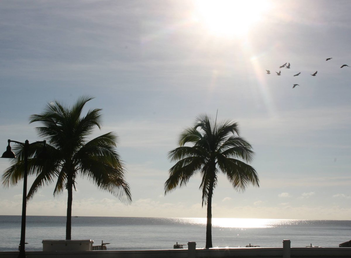 SwingShift_App's tweet photo. This could be your view tonight! Head to Fort Lauderdale and stay at the @westinfortlaud. https://t.co/XQHDoEBC9Y