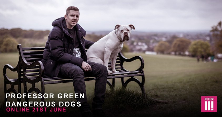 bbcthree's tweet photo. Just two days until @professorgreen's #DangerousDogs documentary. Available from 4pm, Tuesday 21st June, BBC Three. https://t.co/5KnvGJ4z8o