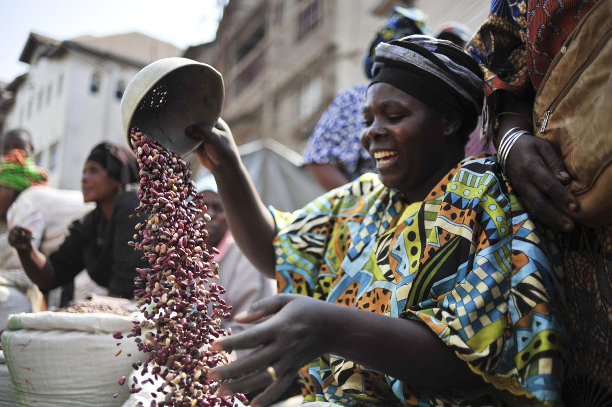 KofiAnnan's tweet photo. On World Day to Combat #Desertification, learn about the KAF African Food Systems Initiative https://t.co/GTtOZeWA7F https://t.co/uhndjkyEM9