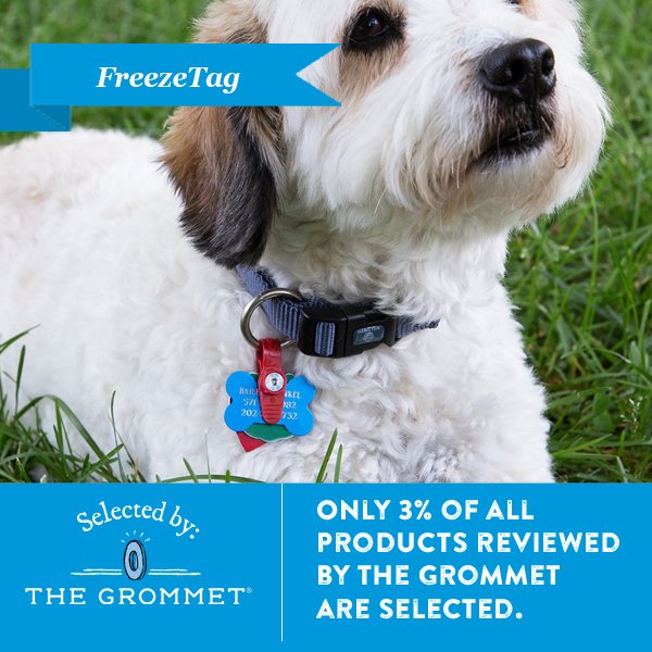 TheFreezeTag's tweet photo. We are live! Head over to the Grommet https://t.co/Ui7ozbR0iI Thank you @TheGrommet ! https://t.co/yDVfv3dNng
