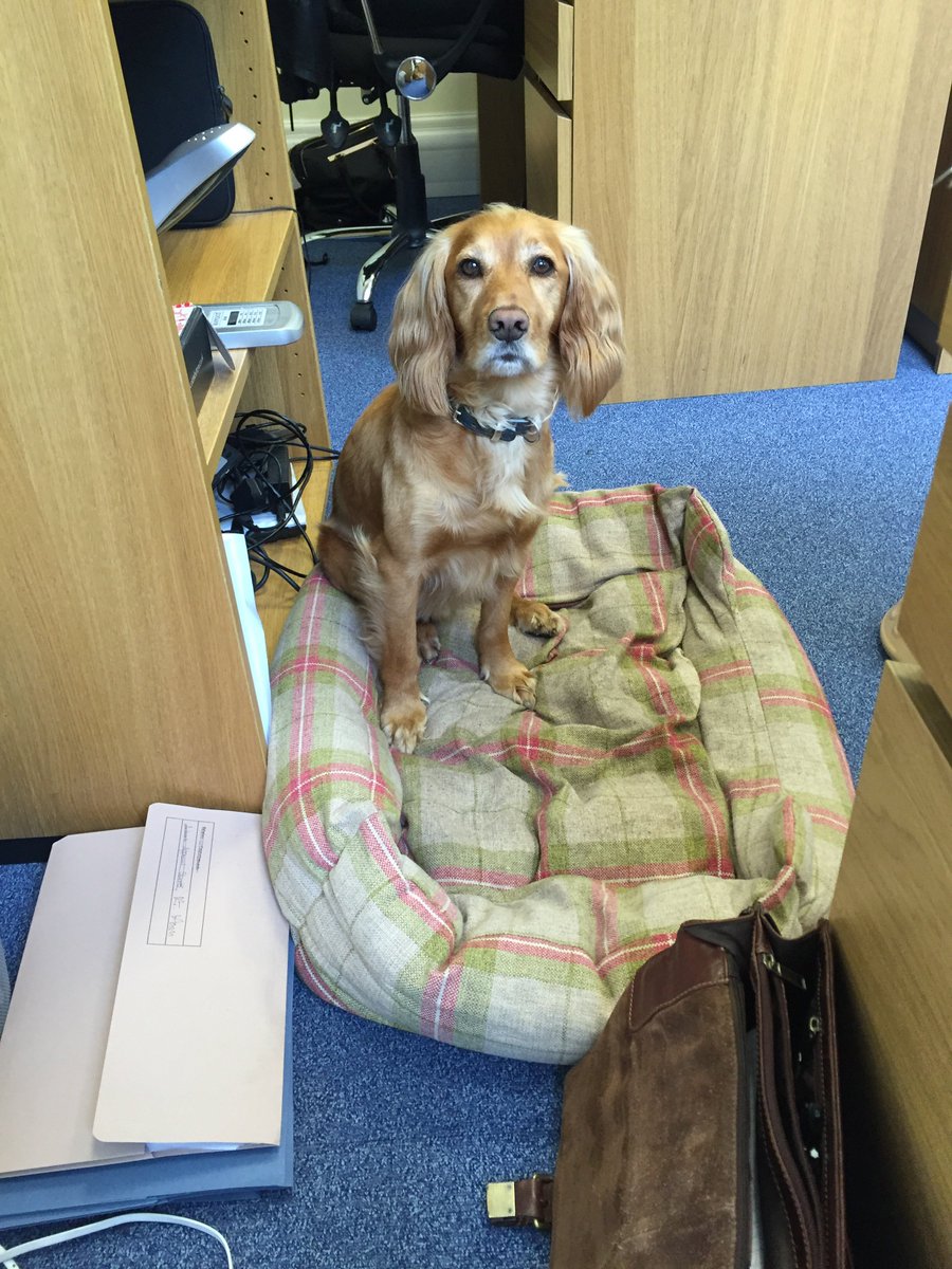 FrogBox Marketing tweet media