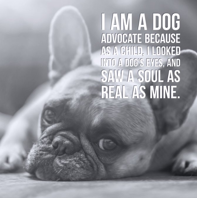 Well said. LIKE if you agree.#SacDogDays #DogDaysofSummer #MidtownDogs
