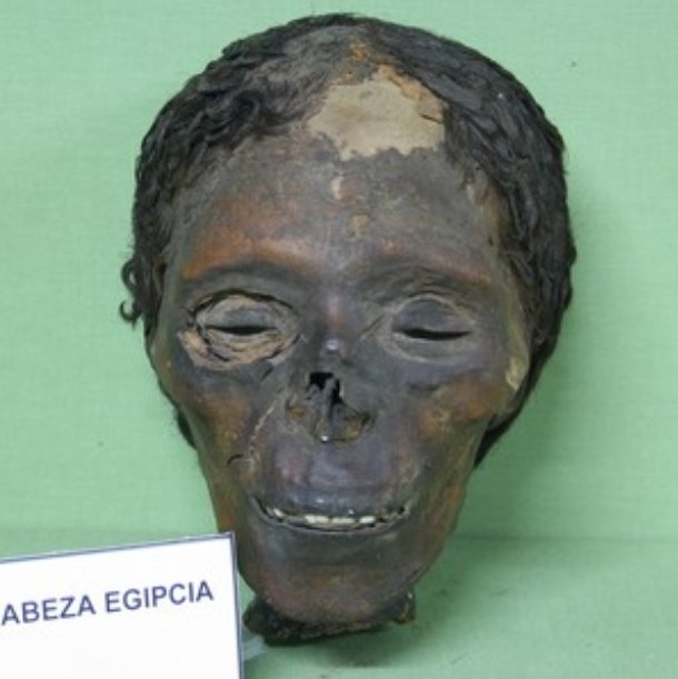 ericsegypt's tweet photo. New evidence shows that some ancient Egyptians bleached their skin! https://t.co/x1ykgRahHh https://t.co/AcCwuchuls