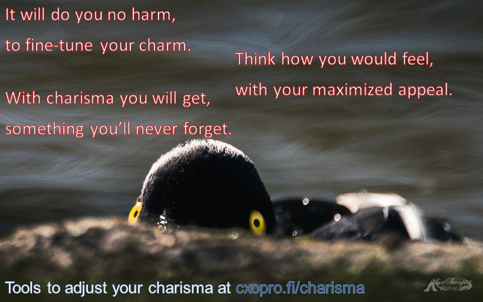 CxOProfessional's tweet photo. Fine-tune your Charisma for a night to remember at https://t.co/AVP4yFVmb2 #Charisma #appeal #eeef2016 #jciec2016 https://t.co/dwqlKi4BJK