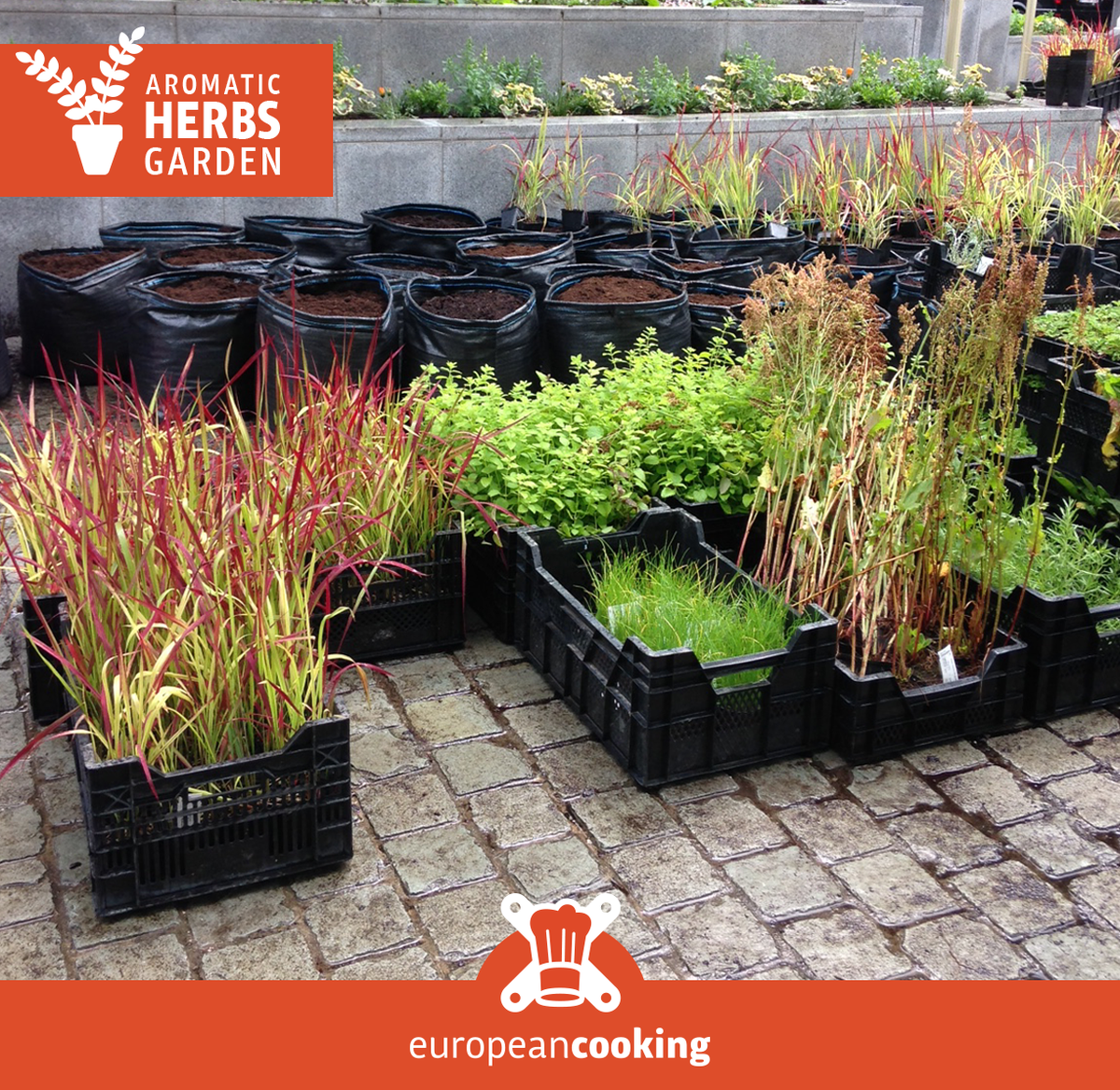 europeancanteen's tweet image. Something tasty is going to happen... Work in progress! #europeancooking #herbsgarden #placejeanrey #openingsoon