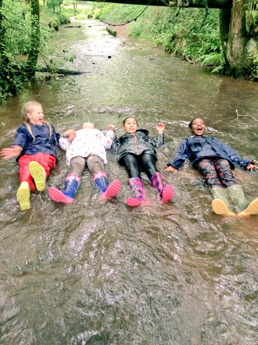 HIAMissGerrard's tweet photo. A very muddy bunch of llamas!!!💦#campbathtime #gloriousmud https://t.co/sKwmHngVjz