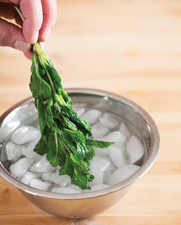 RT <a href="/imbibe/">Imbibe Magazine</a>: Tips for making the most of mint in summer cocktails: bit.ly/1sFfJqY