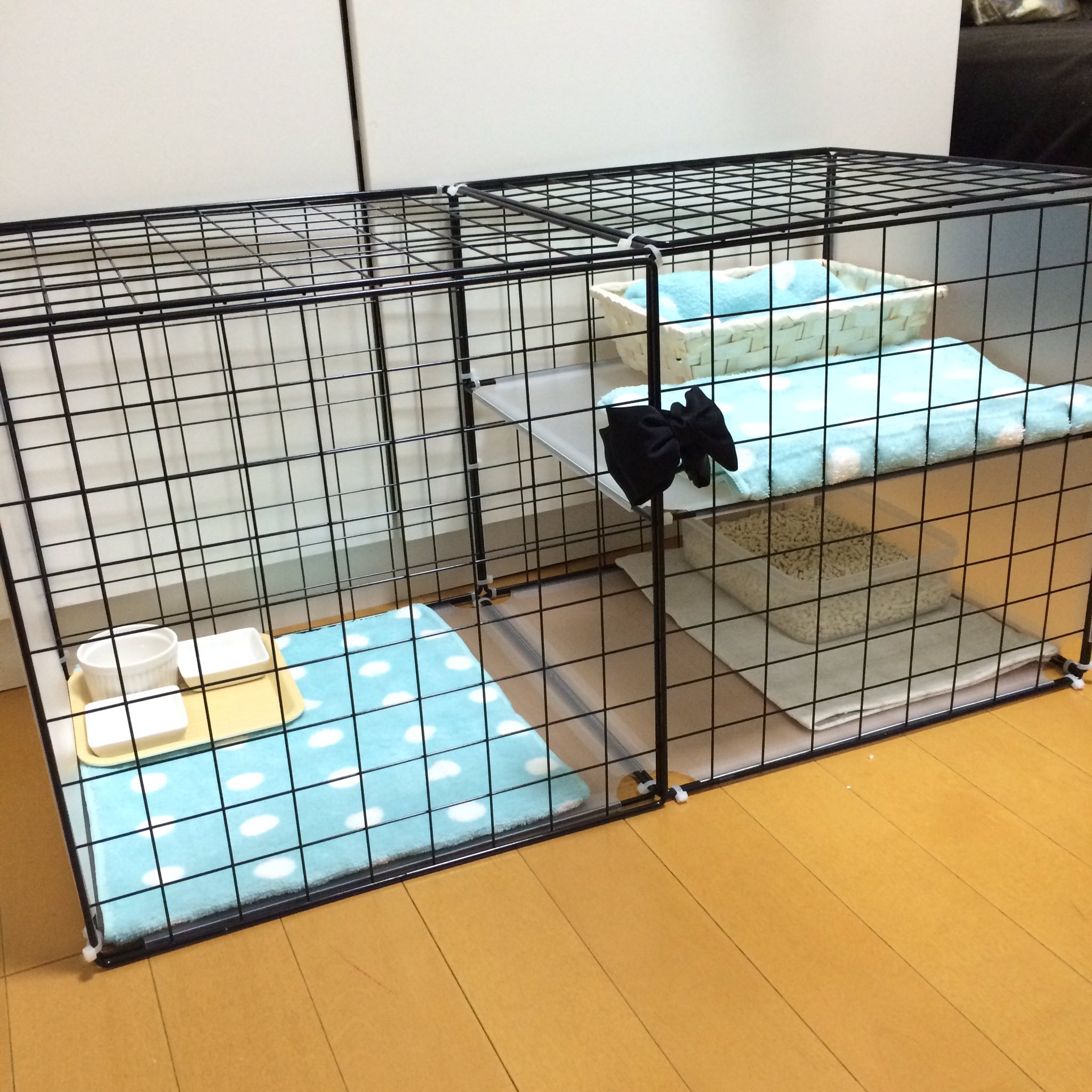 ちび助 キャットケージ 手作りしました 材料は全部100均 二階建て 猫ケージ キャットケージ キャットケージdiy 手作りケージ 猫 ねこ Cat 保護猫 T Co Ige28dfsbi Twitter