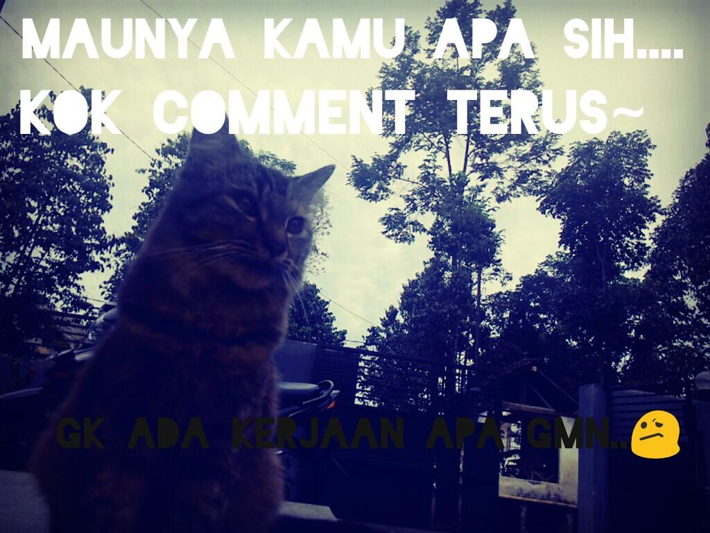fariladitya26's tweet photo. Hayhayhayahay~ https://t.co/71s3jh78hF