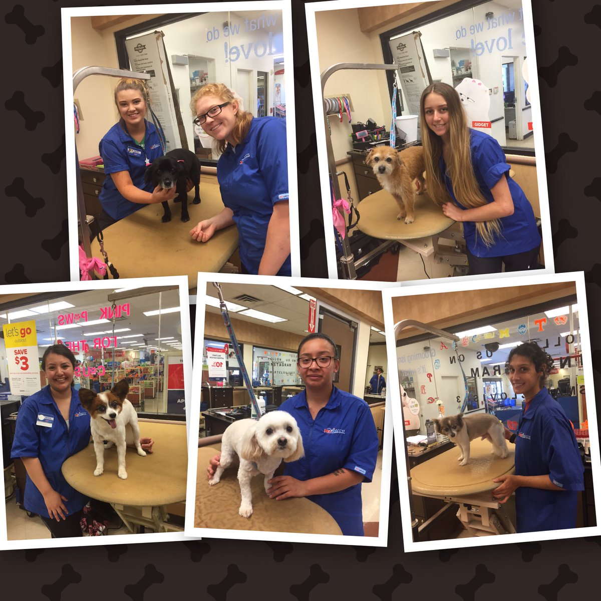 Week 1 going GREAT! 🐾🐾✂️✂️#academystudentsrock <a href="/katieeb_/">♥ kate ♥</a> <a href="/_nicohh/">Nicole Peña</a>