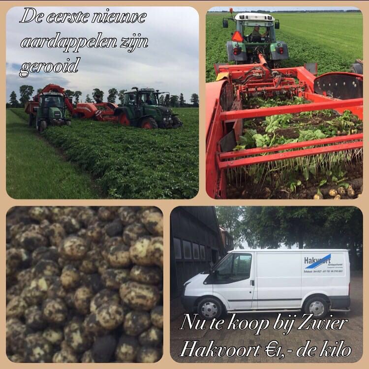 Nou dit plaatje zegt toch al genoeg, heerlijke nieuwe aardappels bij m'n vader😃