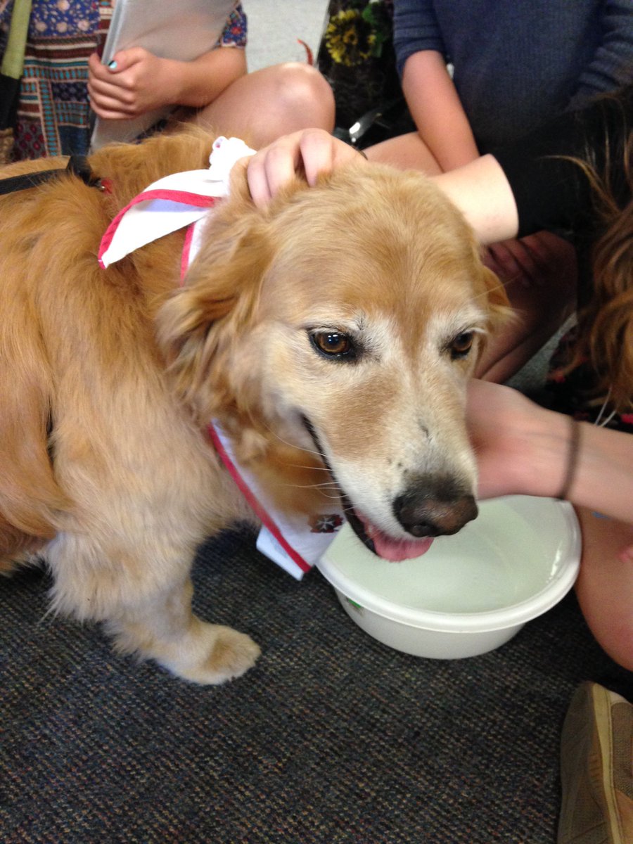 PHHS_Updates's tweet photo. Take a break from studying for exams and come visit with the therapy dogs in the library today and on Monday 🐶❤️ https://t.co/CdbnaEiAGa