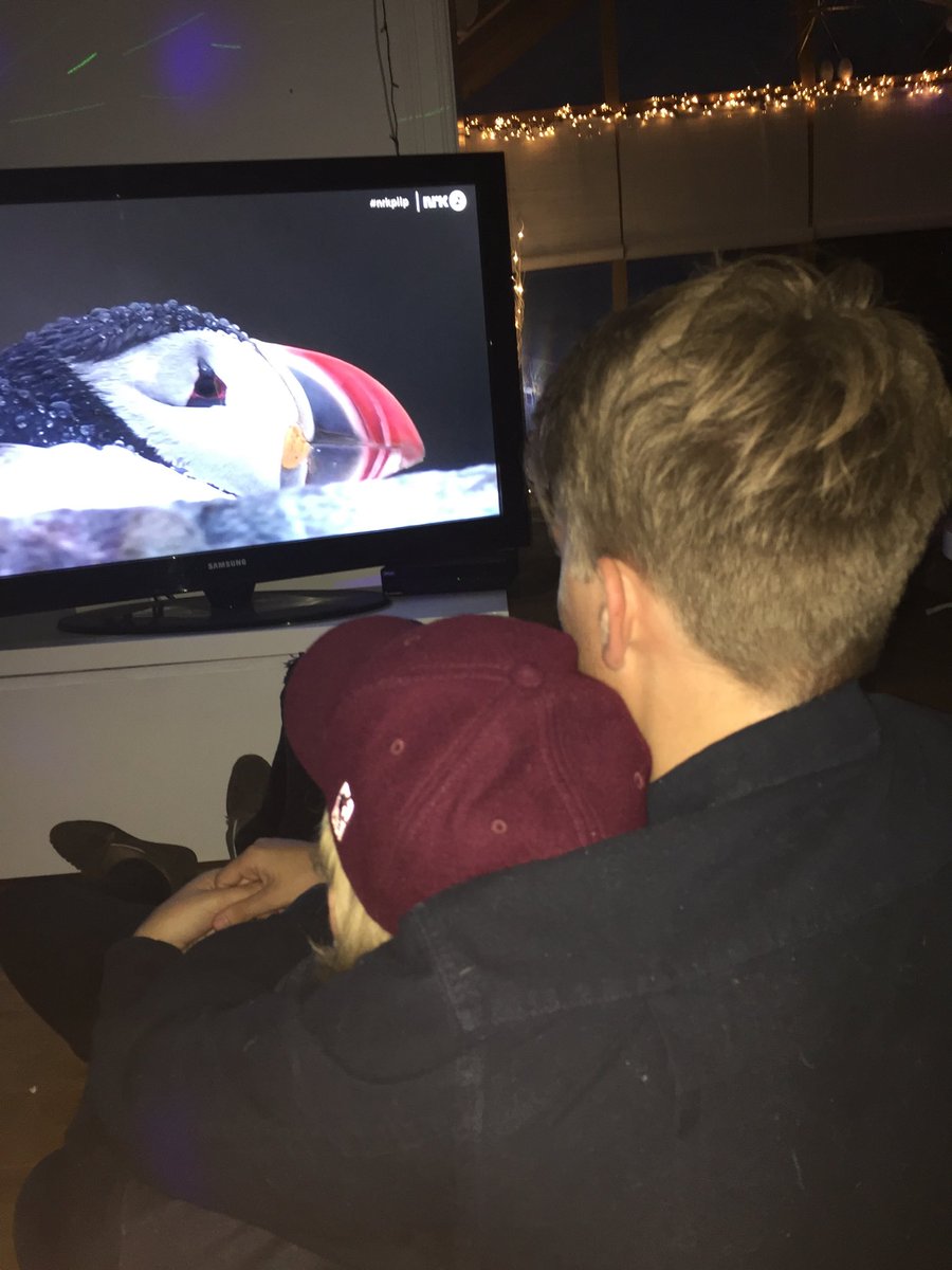 petterras's tweet photo. Romantisk kveld med #nrkpiip https://t.co/dNiiLqnXcn