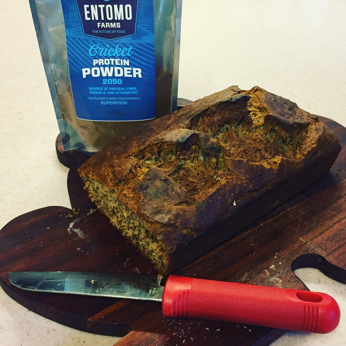 FitChick3's tweet photo. Jiminy Crickets! Not bad at all. #insectpowered https://t.co/WEaeDHL1Vb