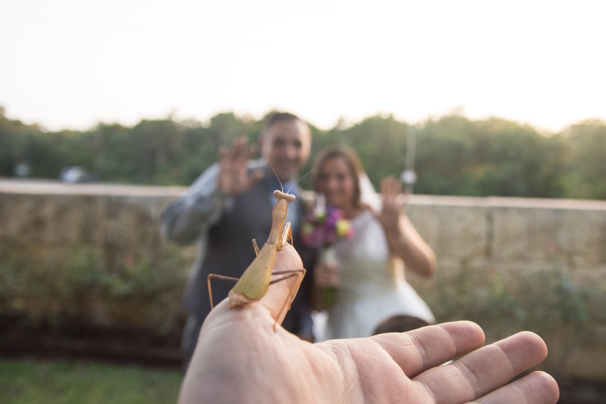 AllHeart Photography tweet media