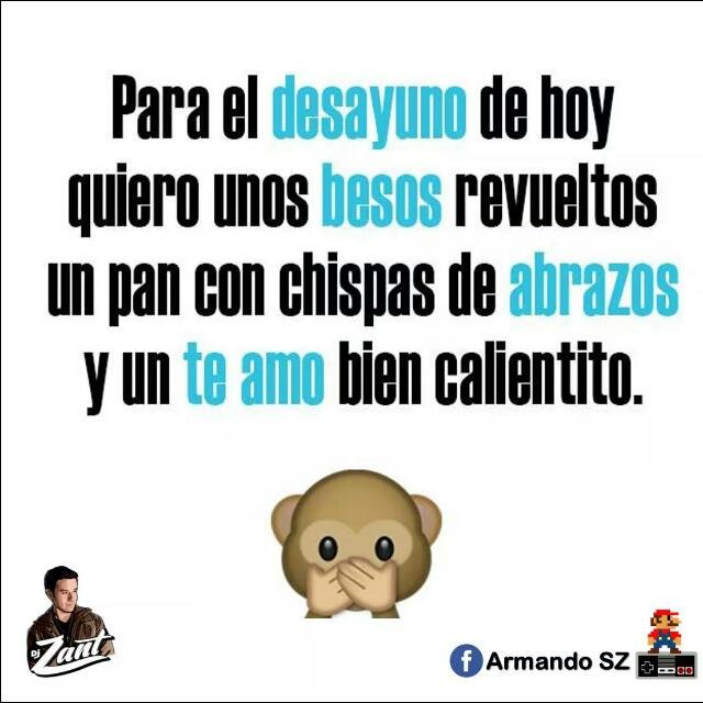 CatPopoca tweet picture