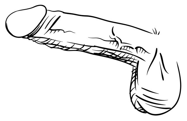 sexlearn's tweet photo. How to keep strong your penis ?
Blood pressure is a sort of gender or sex organs.......  https://t.co/INkAs0aCNb https://t.co/0ZbnAJ93py
