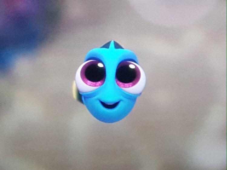 peluche de dory bebe