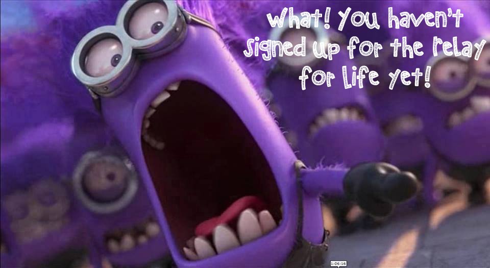 StapletonRFL's tweet image. One week till our Relay! Have you signed up yet? Grab your peeps and sign-up today! bit.ly/1Sov4pC