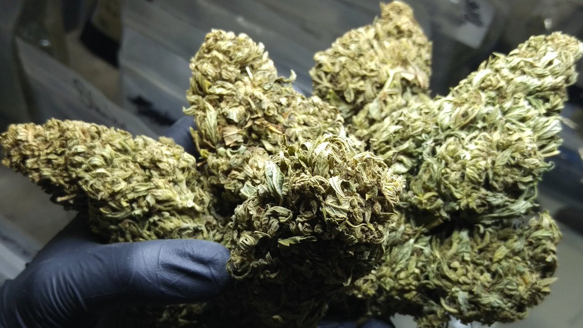 AlisGroup's tweet photo. Giant nugs of Juicy Fruit...fill your senses with the aroma of fresh mountain breezes! #AlisGroup, #Tahomaflavors https://t.co/Wr3olhqIL0