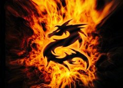 Phoenix_Moon9 tweet picture