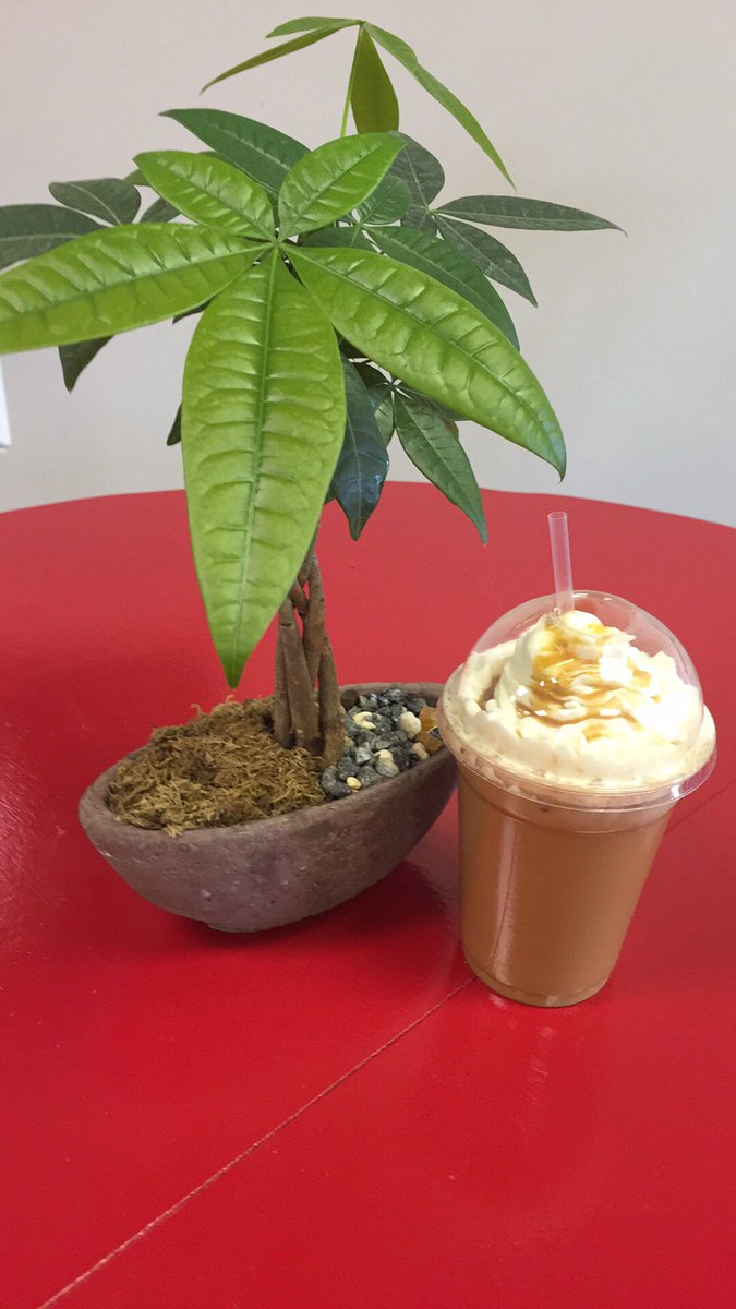 Stop in and cool down with one of our new flavors of iced coffee! This one = pumpkin cheesecake!