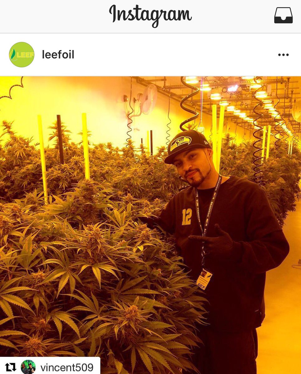 LeefSuzy's tweet photo. #Repost @vincent509 with @repostapp
・・・
#🍁👈🏽 #Leef #LeefOil #i502 #WorkFlow #ToppLeft™ 🍃🍯 https://t.co/HYZak0zvub
