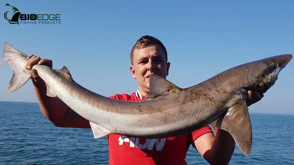 FishDynamix's tweet photo. #PB #32lbs #shoretope #bioedge #enhancement @TotalSea @anglingdirect @GlasgowAngling @TheLureLodge @seaanglingnews https://t.co/bnNtteV42q
