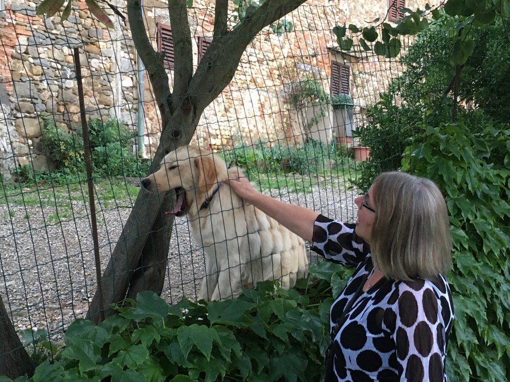 AlisonGatt2's tweet photo. Meeting the locals #InsightMoments in the #Tuscancountryside https://t.co/OV4Z83uzrP