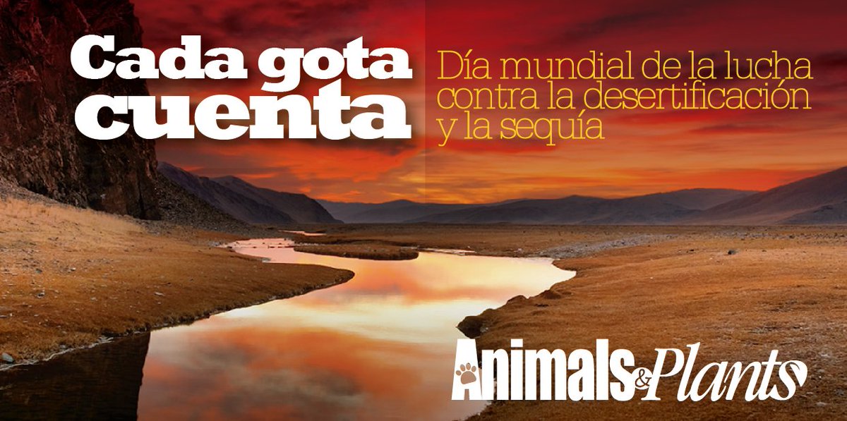 Día mundial de la lucha contra la desertificación y la sequía. #AnimalsAndPlants #AmigosConPatas #FelizViernes