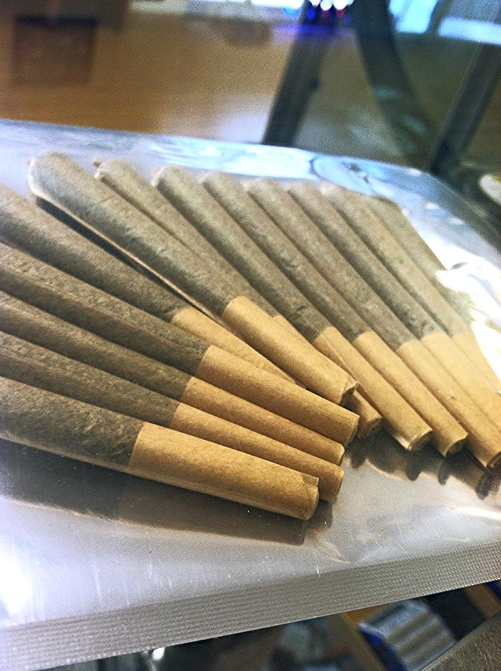 GValleyWellness's tweet photo. @JuanitoStoned @StonerBusiness1 @zaynekat @deeboy90291 @reneajay3 @MarlaDLoach Gorgeous #TwitterLove #keeponelit https://t.co/SgEFHivJAN