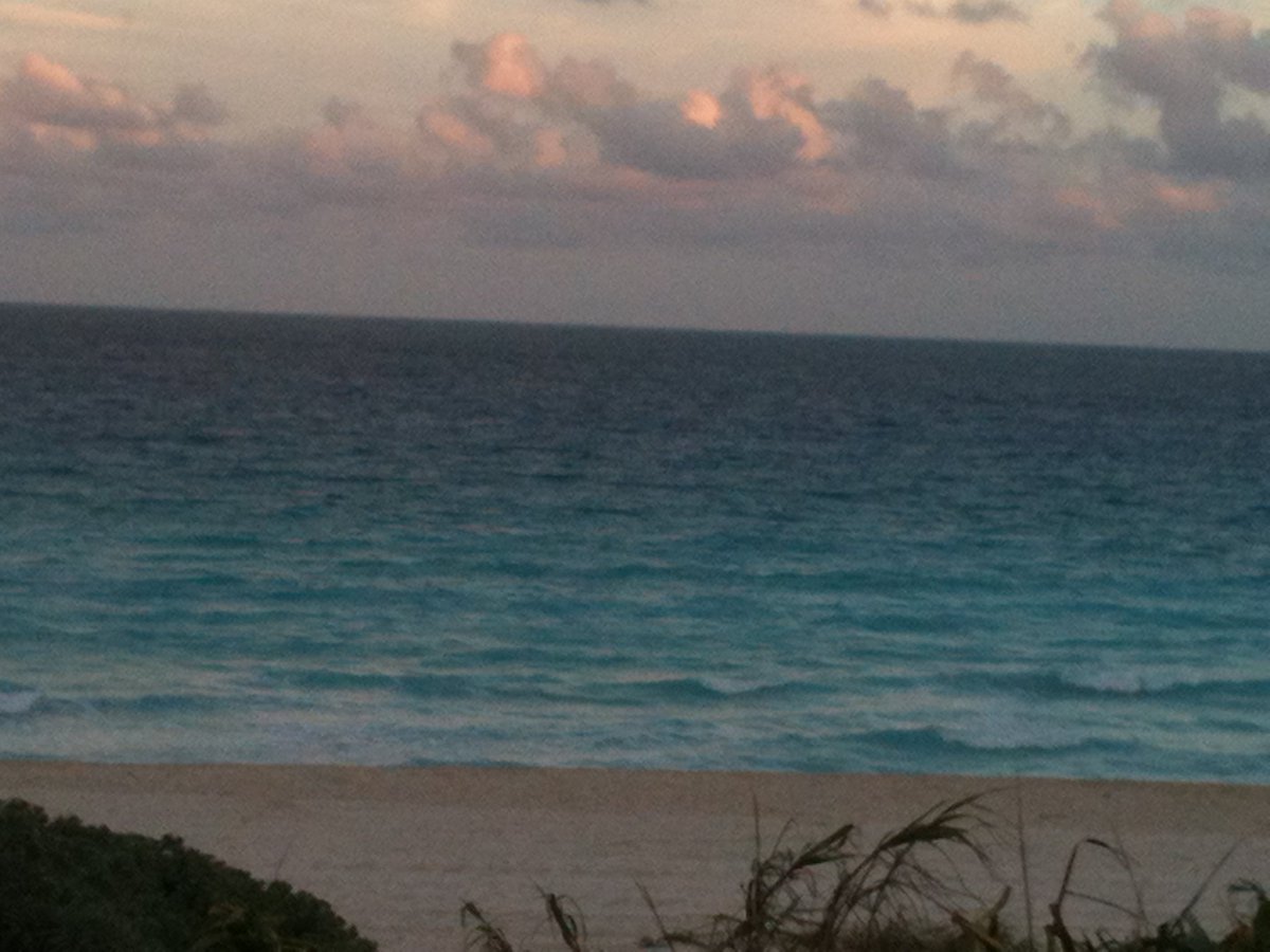 hotelgreen16's tweet photo. Ven a las mejores playas del Caribe. Hospedate con nosotros, habitacion para dos personas por noche $ 600.00 https://t.co/xSVsdBjROS
